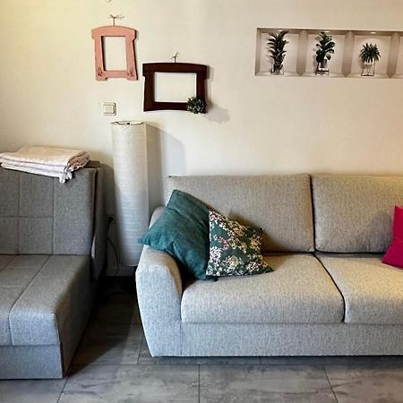 Lara Deluxe Superior 5 Star Apartment, Your Piece Of Heaven By The Sea & Park Novigrad Istria 外观 照片